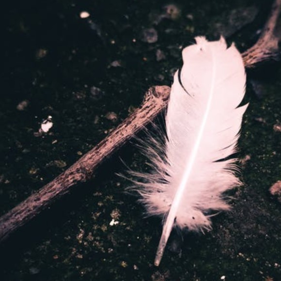 sirensfeather